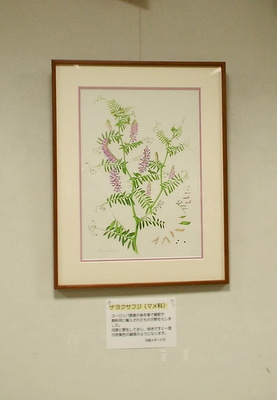 第3回多摩川の植物画展、多摩ボタニカルアート展、水彩画、緒方